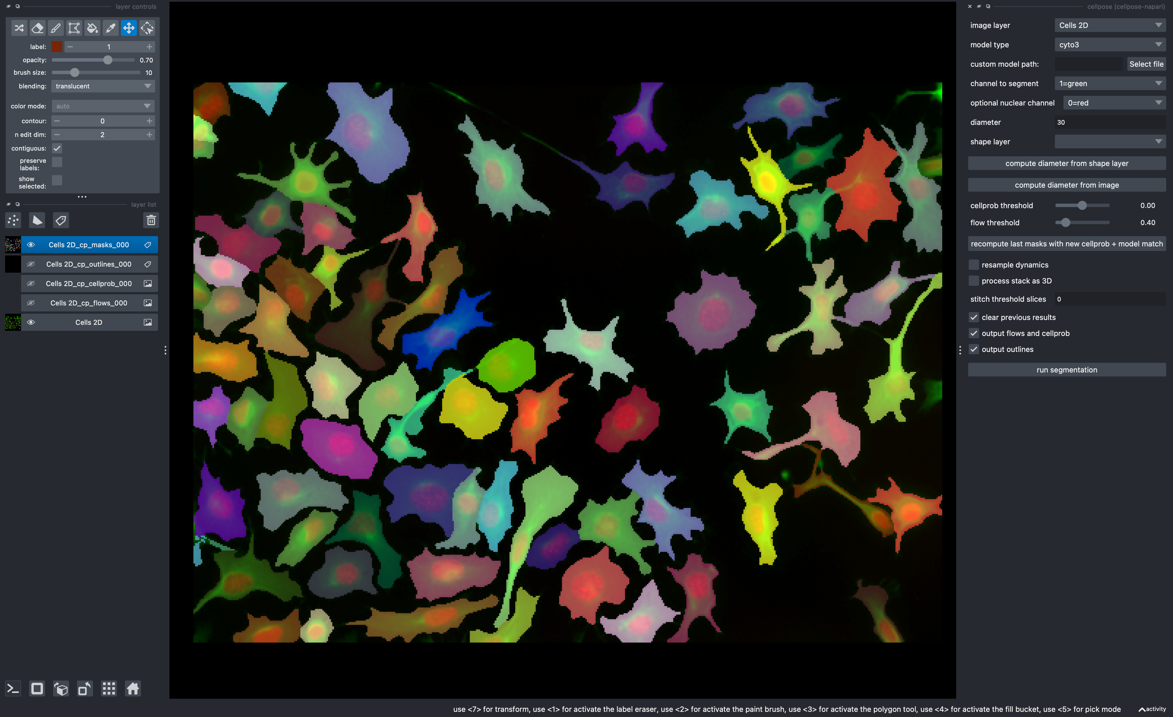 A 2D cell segmentation with cellpose shown in napari