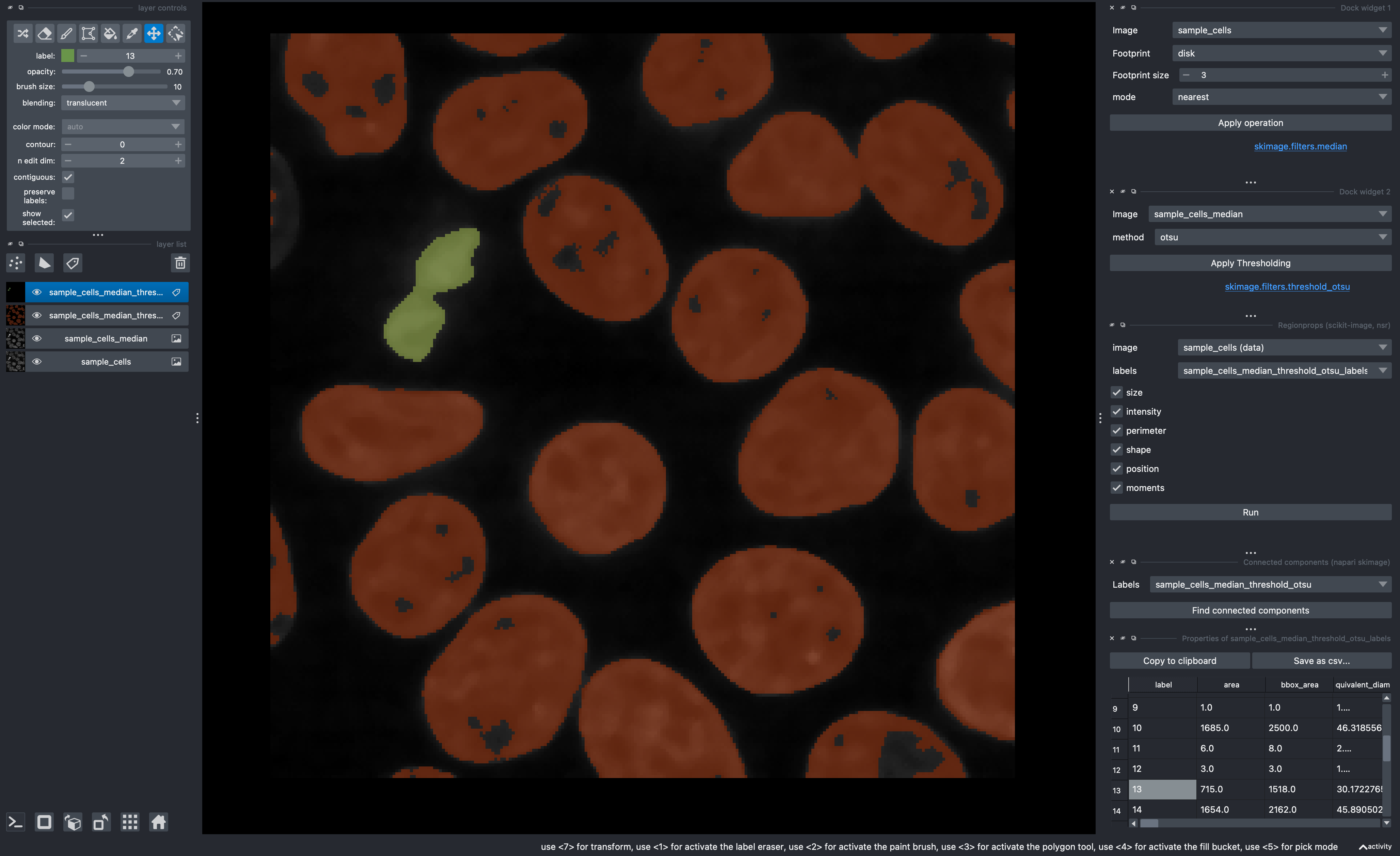 Example of instances segmented with vanilla processing methods in napari