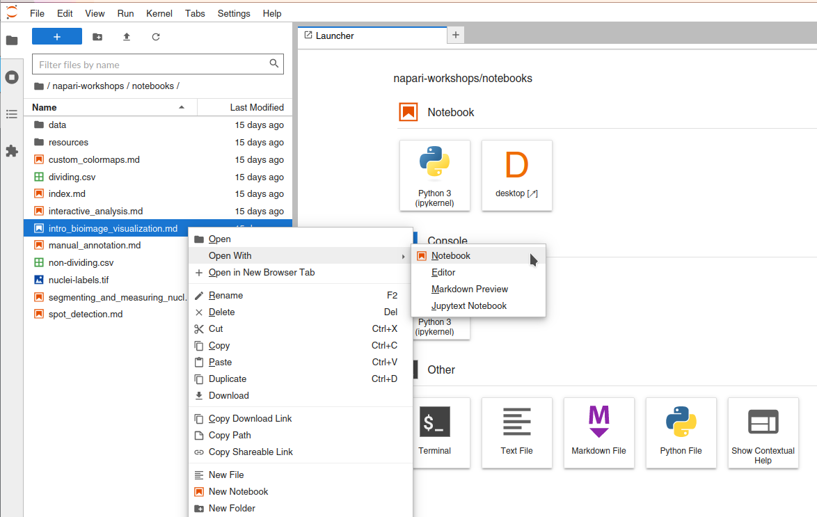 Right click on "intro_bioimage_visualization.md" file, and select "Open with -> Notebook"