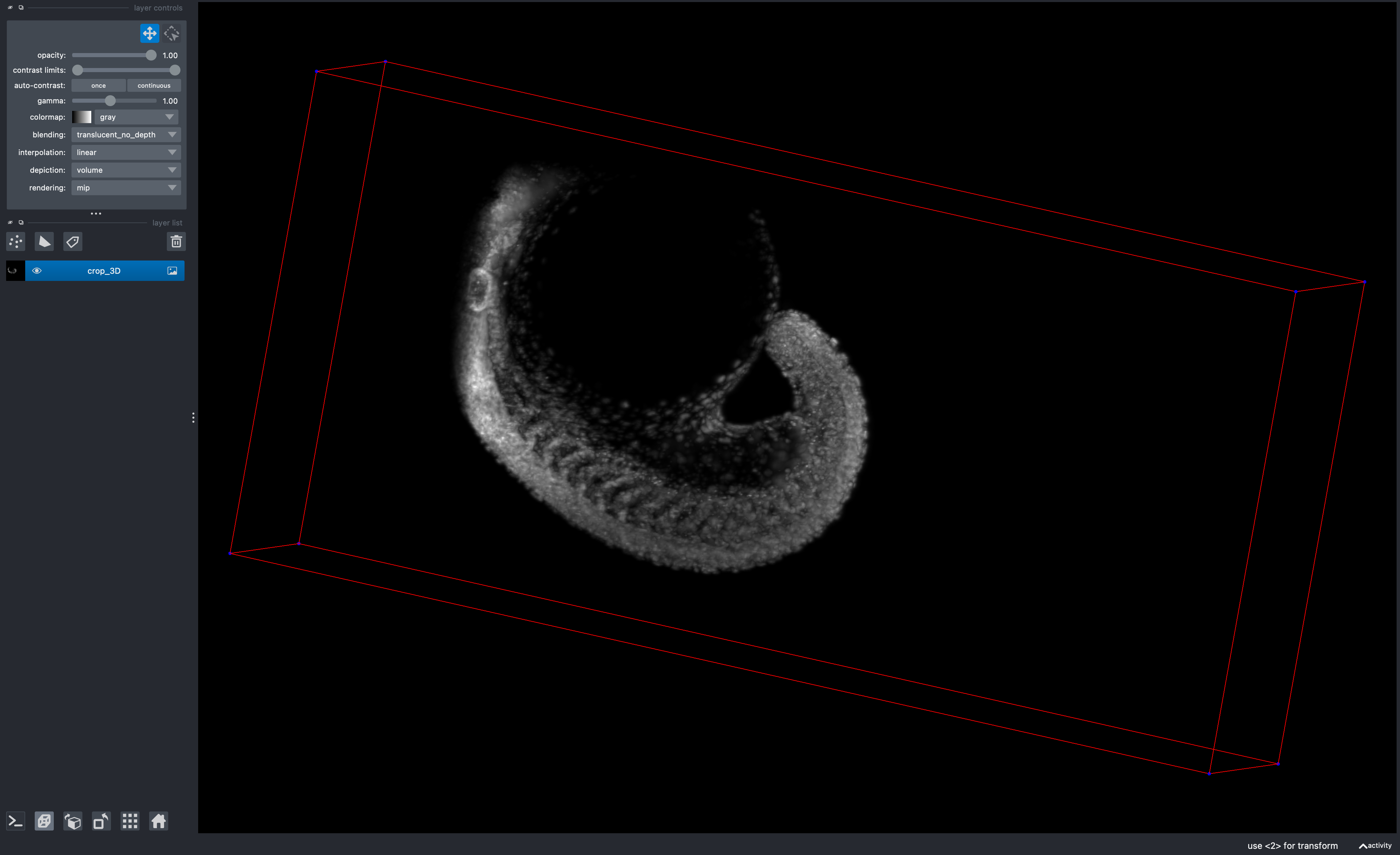 3D volumetric image from zebrahub of a developing zebrafish