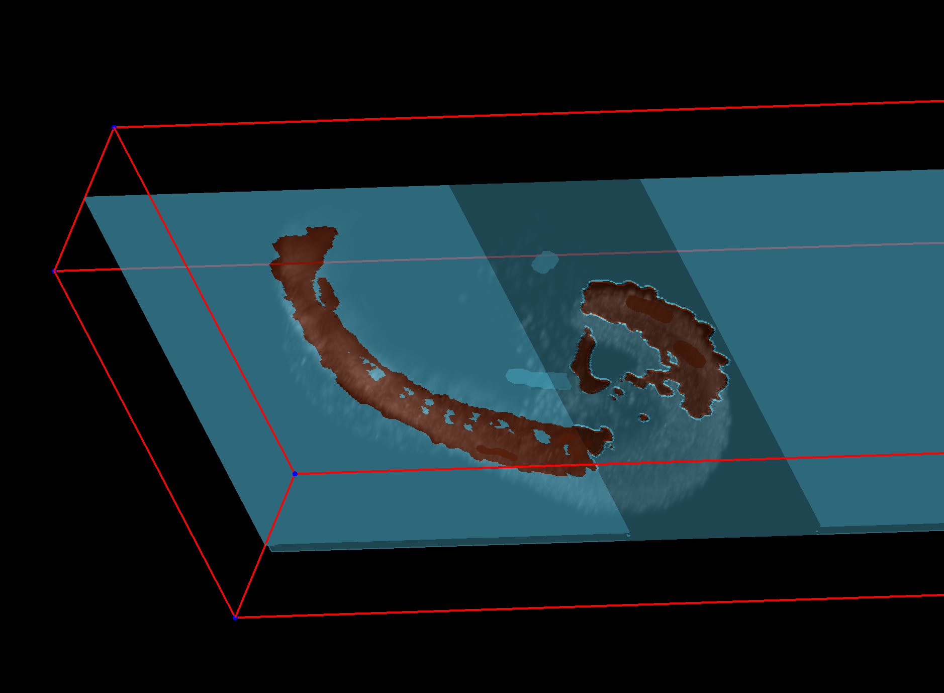 3D volumetric segmentation of with some of the zebrahub image segmented but not very well